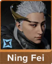 Ning Fei