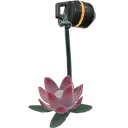 Porte-bonheur Lotus stellaire