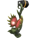 Porte-bonheur Plante carnivore