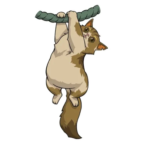 Graffiti Tiens bon, Mance