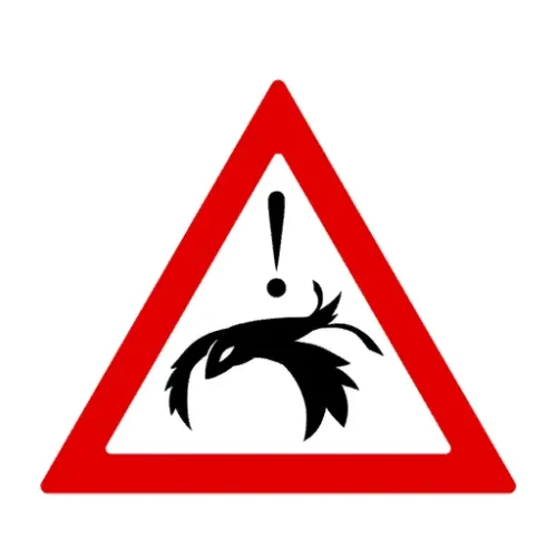 Graffiti Attention : oiseau aveuglant !