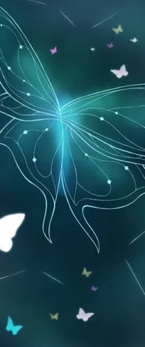 Carte Rêvaile Evori